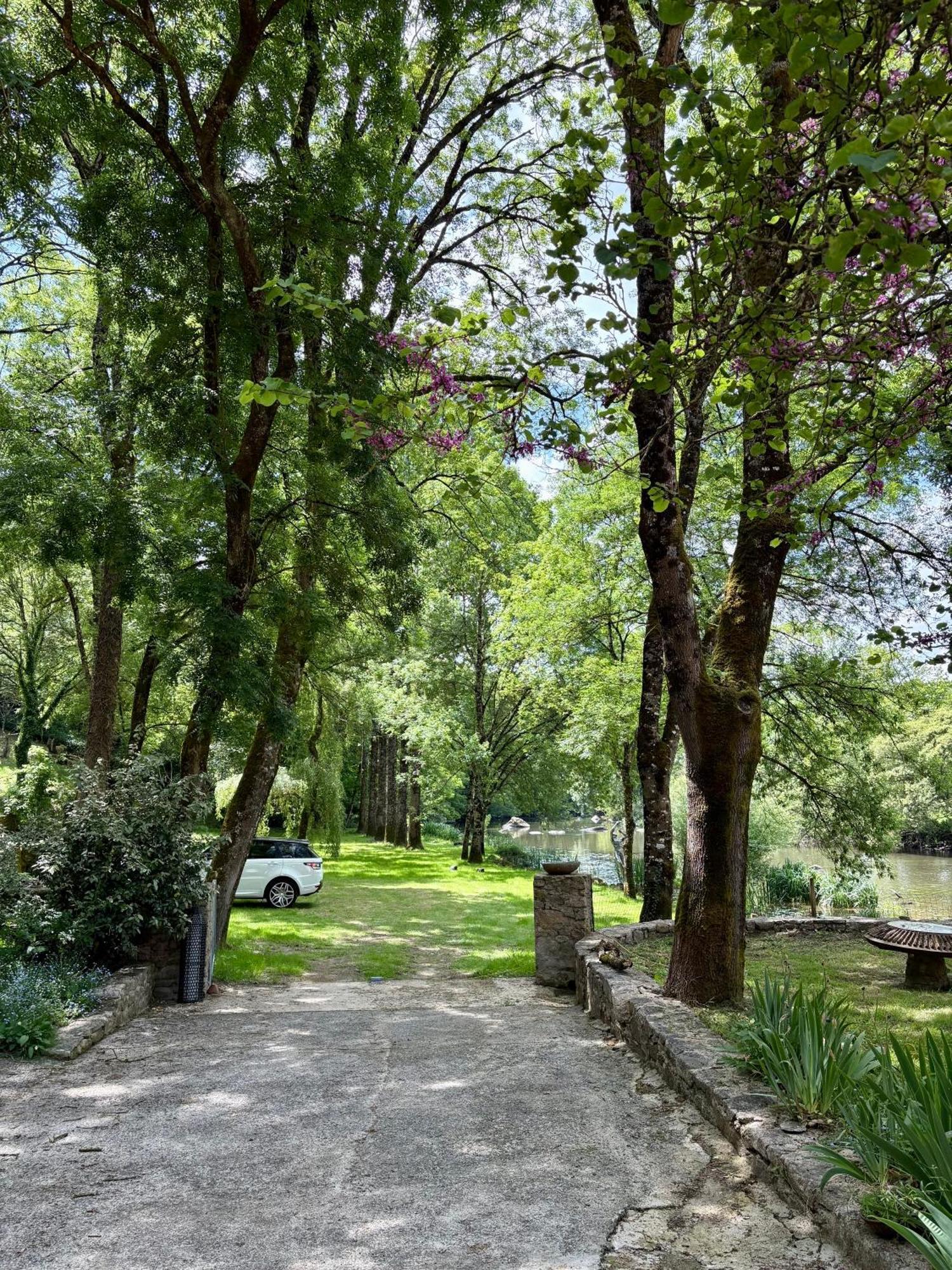 Le Moulin Du Guy, Proche Du Puy Dufou Bed & Breakfast Chanverrie Ngoại thất bức ảnh